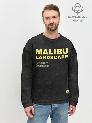 Свитшот мужской базовый из хлопка / MALIBU